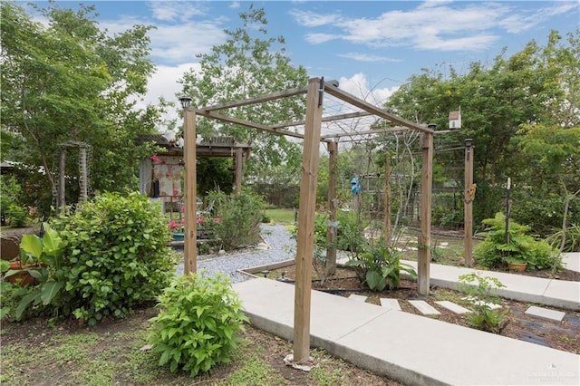 701 S Parker Rd S, La Feria, TX 78559 - view of yard featuring a pergola
