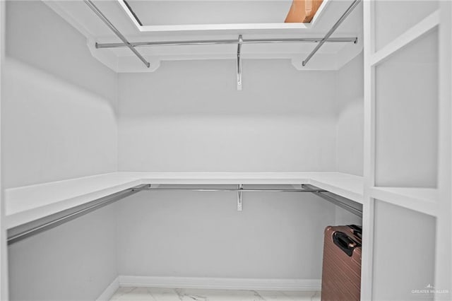 view of spacious closet