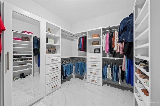 view of walk in closet