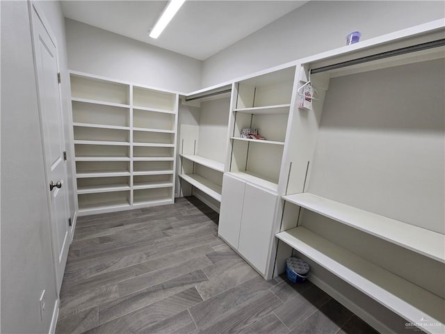 spacious closet featuring dark hardwood / wood-style floors