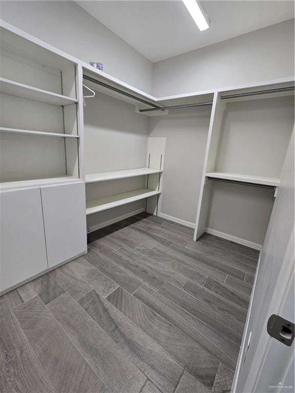 spacious closet with dark wood-type flooring