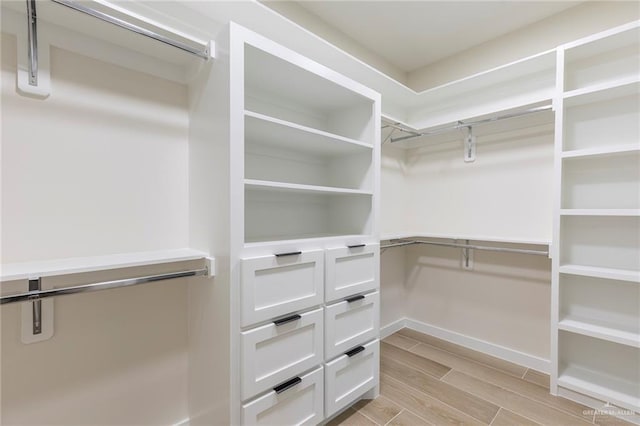 1027 Broken Arrow Dr, Alamo, TX 78516 - walk in closet with light wood-style floors