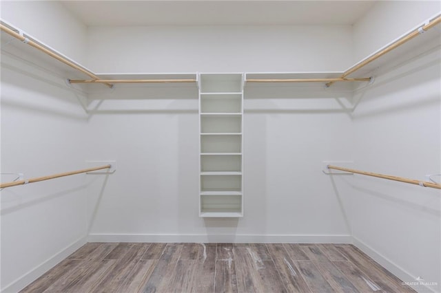 walk in closet with hardwood / wood-style floors