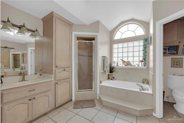 3704 San Gerardo St, Mission, TX 78572 - bathroom featuring a shower stall, vaulted ceiling, tile patterned floors, vanity, and toilet
