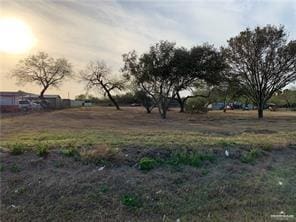 0000 N Conway Ave, Mission, TX 78573 - photo 4