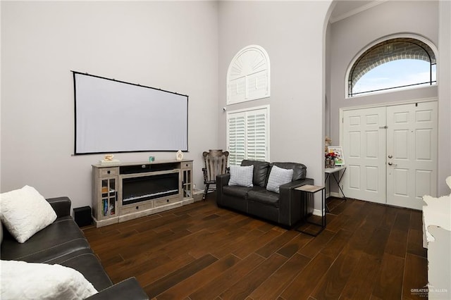 living area featuring dark wood-style floors and a high ceiling