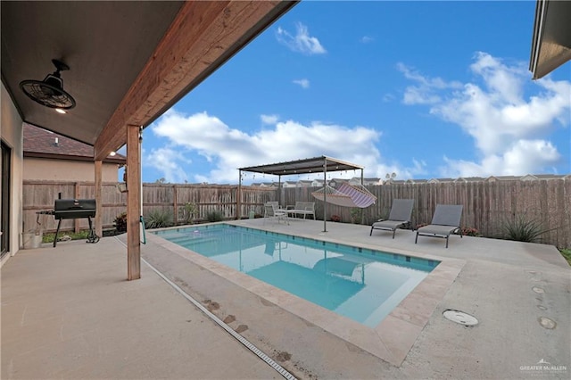 view of swimming pool with a patio and grilling area