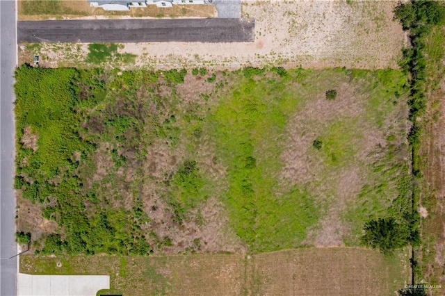 6909 Suncrest Acres St, Edinburg, TX 78542