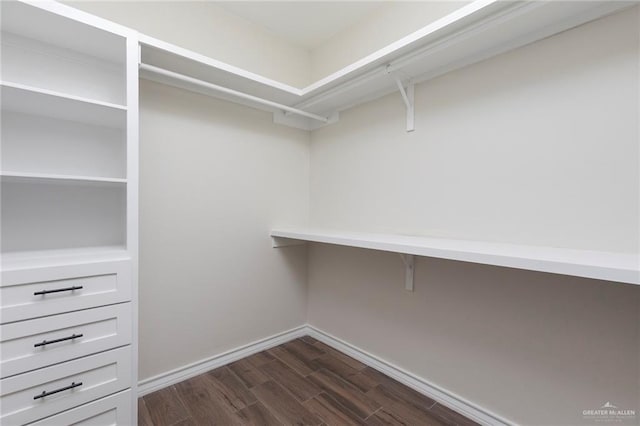 walk in closet with dark wood-style floors