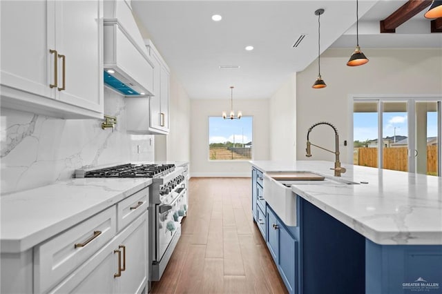 spare room with dark hardwood / wood-style floors, a healthy amount of sunlight, and a tray ceiling