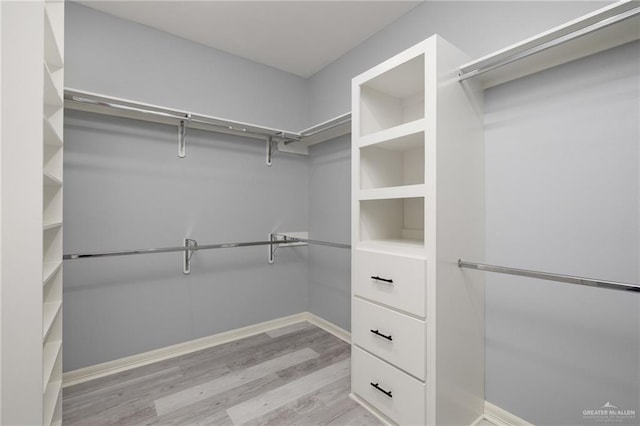 5904 N Dodger St, Pharr, TX 78577 - walk in closet with light wood finished floors