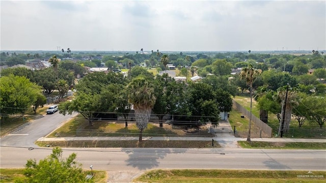 3204 Barbara Ln, Edinburg, TX 78542 - aerial view