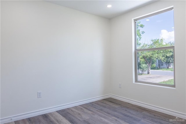 empty room featuring a wealth of natural light and wood-type flooring