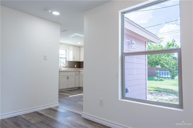 unfurnished room featuring a wealth of natural light, dark wood-type flooring, and sink