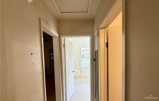 711 Marcos Hinojosa Ave, Hebbronville, TX 78361 - corridor featuring a textured wall