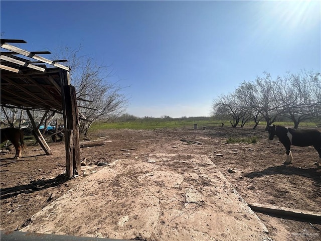 00 W Wisconsin Rd, Donna TX, 78537 land for sale