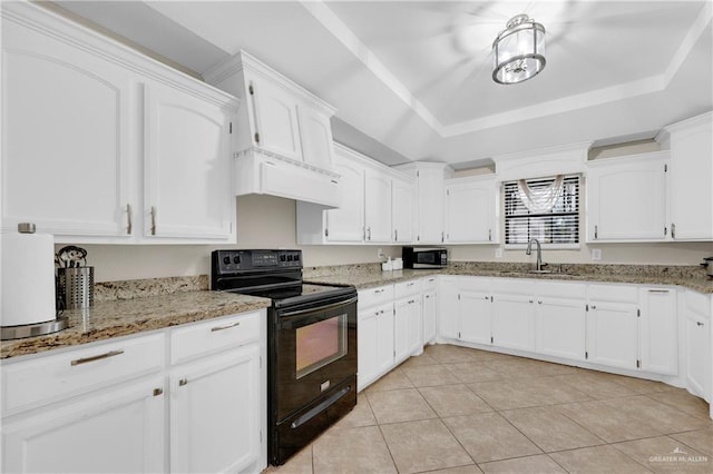 kitchen featuring stainless steel microwave, under cabinet range hood, a tray ceiling, black electric range oven, and a sink