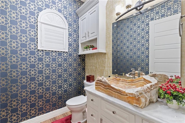 bathroom with vanity, hardwood / wood-style flooring, and toilet