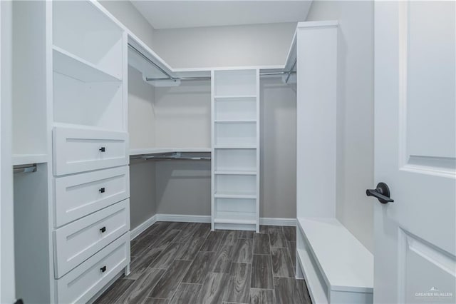 spacious closet featuring wood finish floors