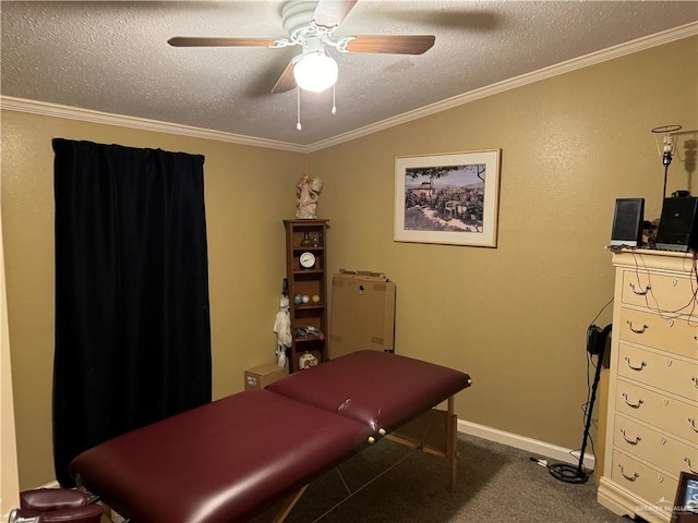 interior space featuring lofted ceiling, ceiling fan, a textured ceiling, and ornamental molding