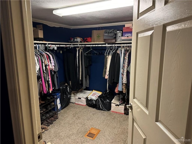 walk in closet with carpet floors