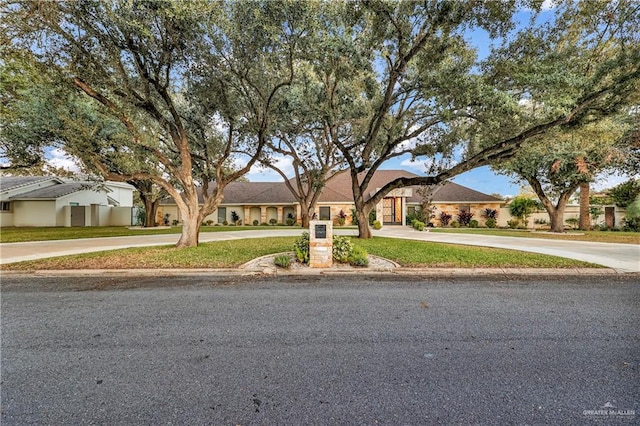 ranch-style house with a front yard