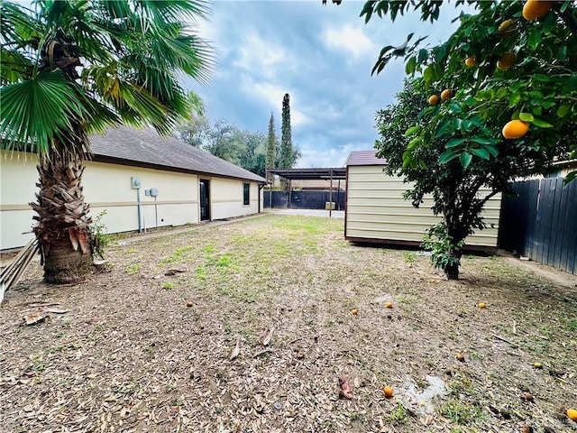 view of yard with a storage shed