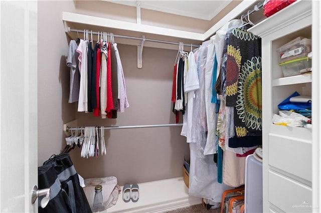 view of spacious closet