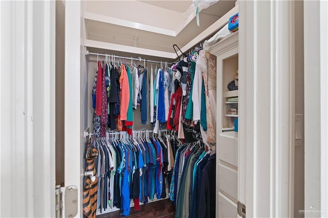 view of walk in closet