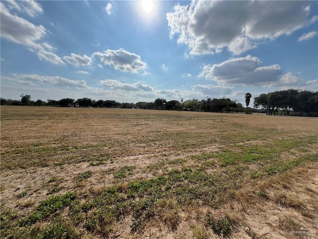 Listing photo 3 for 000 N Bryan Rd, Palmhurst TX 78573