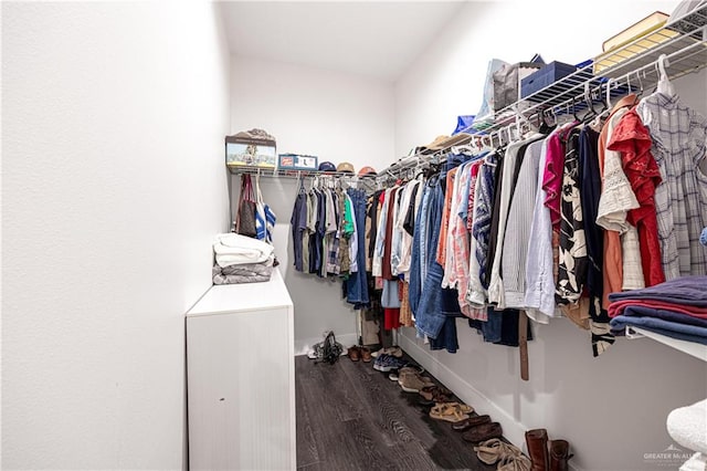 walk in closet featuring dark wood-type flooring