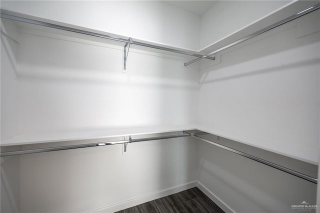 1106 Copper Ln, San Juan, TX 78589 - walk in closet with dark wood-type flooring