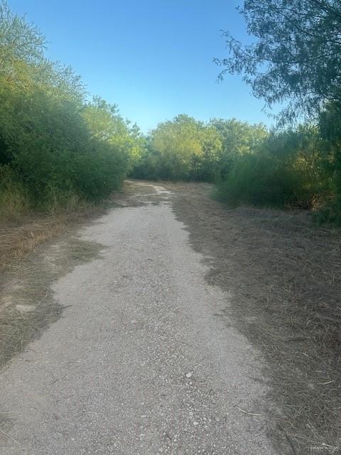 11481 N Mile 1 1/2 E Street, Mercedes, TX 78570