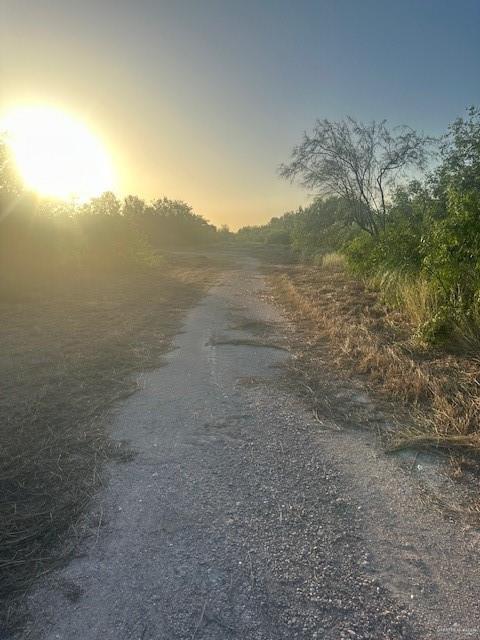 11481 N Mile 1 1/2 E Street, Mercedes, TX 78570