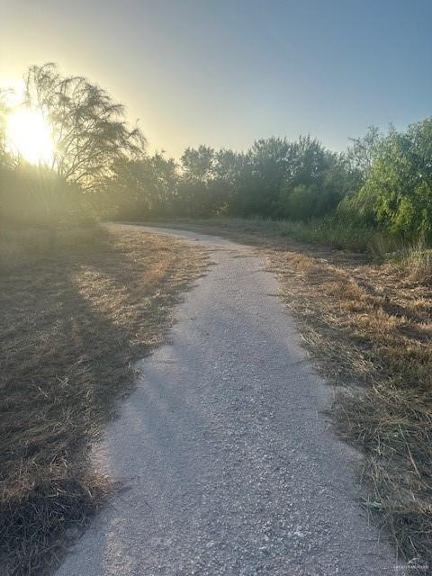 11481 N Mile 1 1/2 E Street, Mercedes, TX 78570
