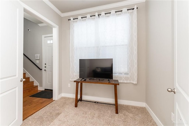 interior space with crown molding and a healthy amount of sunlight