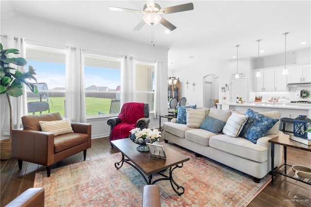 living room featuring ceiling fan and dark wood-type flooring