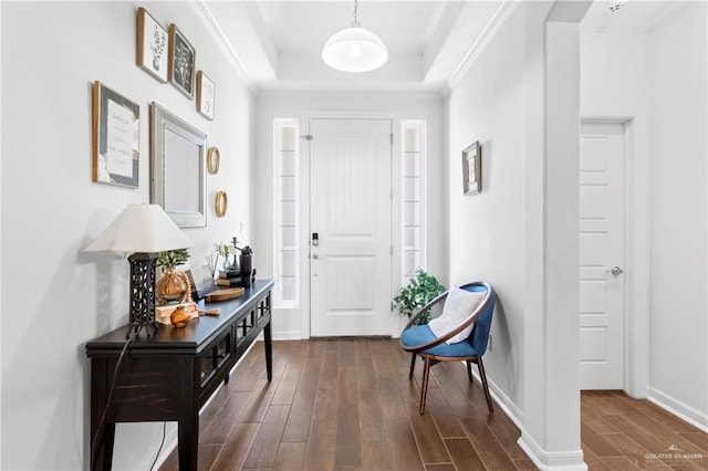 foyer entrance featuring a tray ceiling, dark wood-type flooring, and ornamental molding