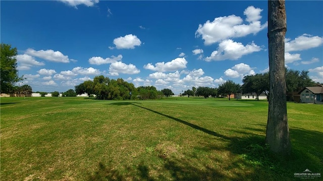 view of community with a yard