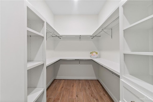 walk in closet featuring hardwood / wood-style flooring and built in desk