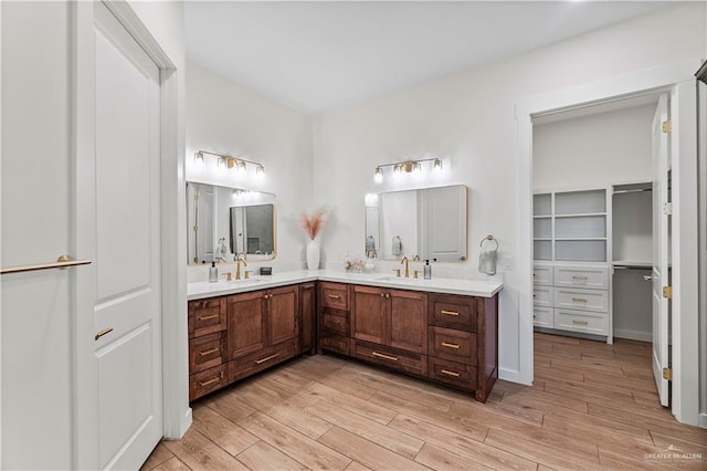 bathroom featuring wood-type flooring and vanity