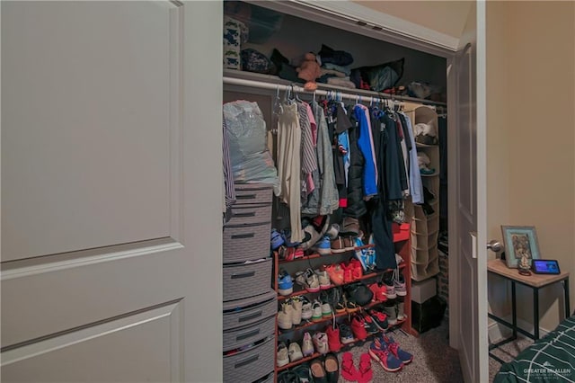 view of closet