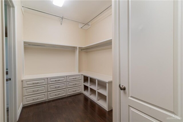 walk in closet featuring dark hardwood / wood-style floors