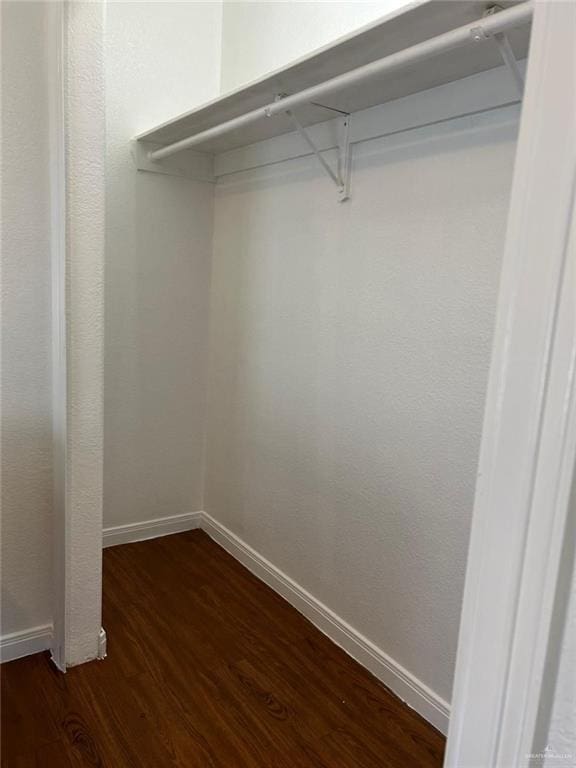 walk in closet featuring dark hardwood / wood-style flooring