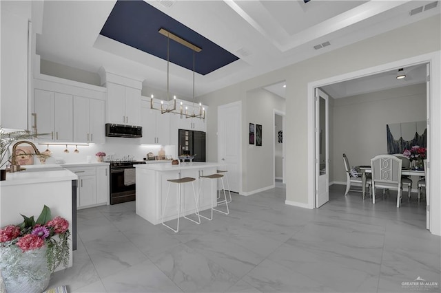 kitchen featuring appliances with stainless steel finishes, a tray ceiling, sink, a center island, and white cabinetry