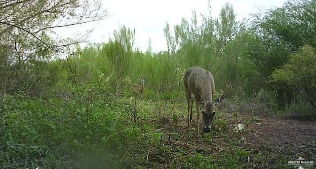 TR-29-2TBD Crk 408, Premont, TX 78355 - photo 2