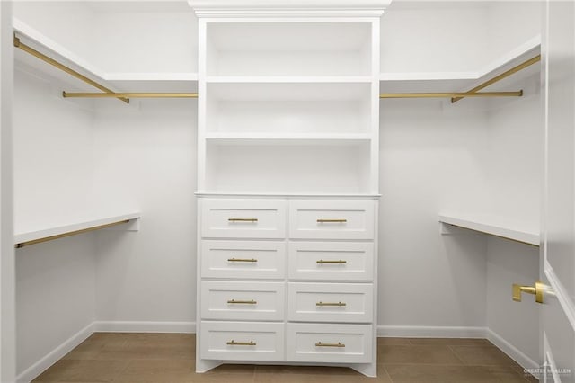 820 N Trinity St, Edinburg, TX 78541 - view of walk in closet