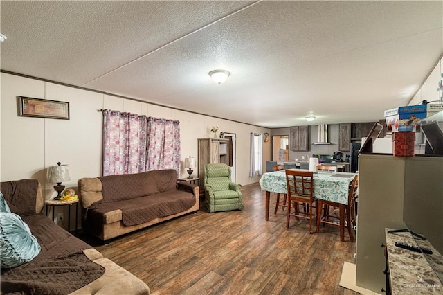 living area with dark wood-style floors and a textured ceiling