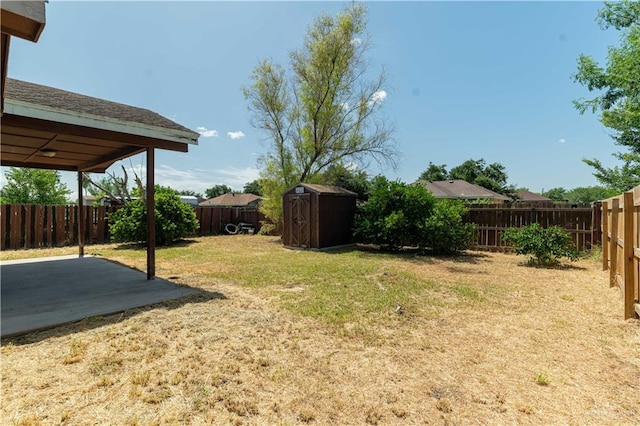 view of yard with a storage unit and a patio area