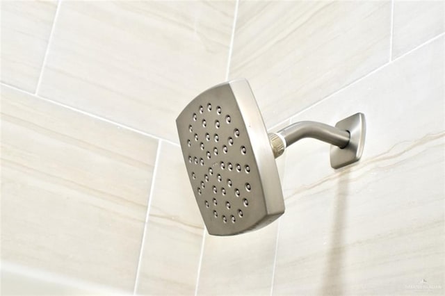 interior details featuring walk in shower